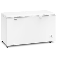 Freezer Horizontal Electrolux H550 2 Portas - Branco - 220v