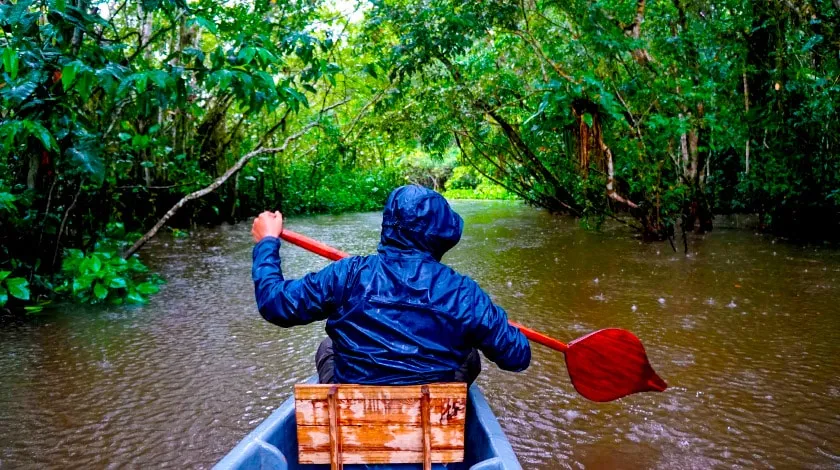 Selva Amazônica, AM
