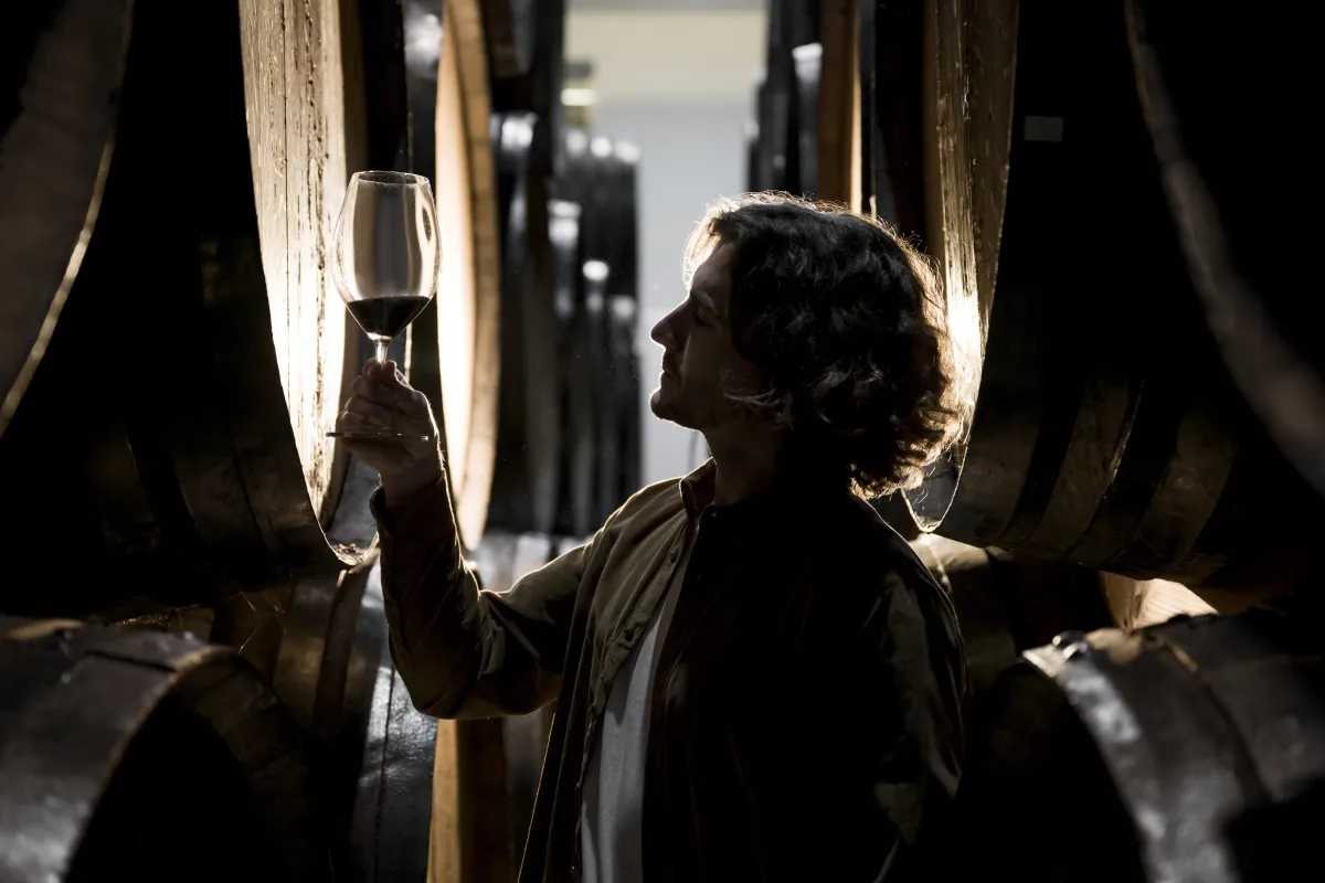 A maturação dos vinhos