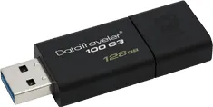 Kingston DataTraveler 100