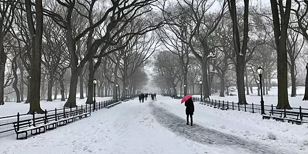 Nova York