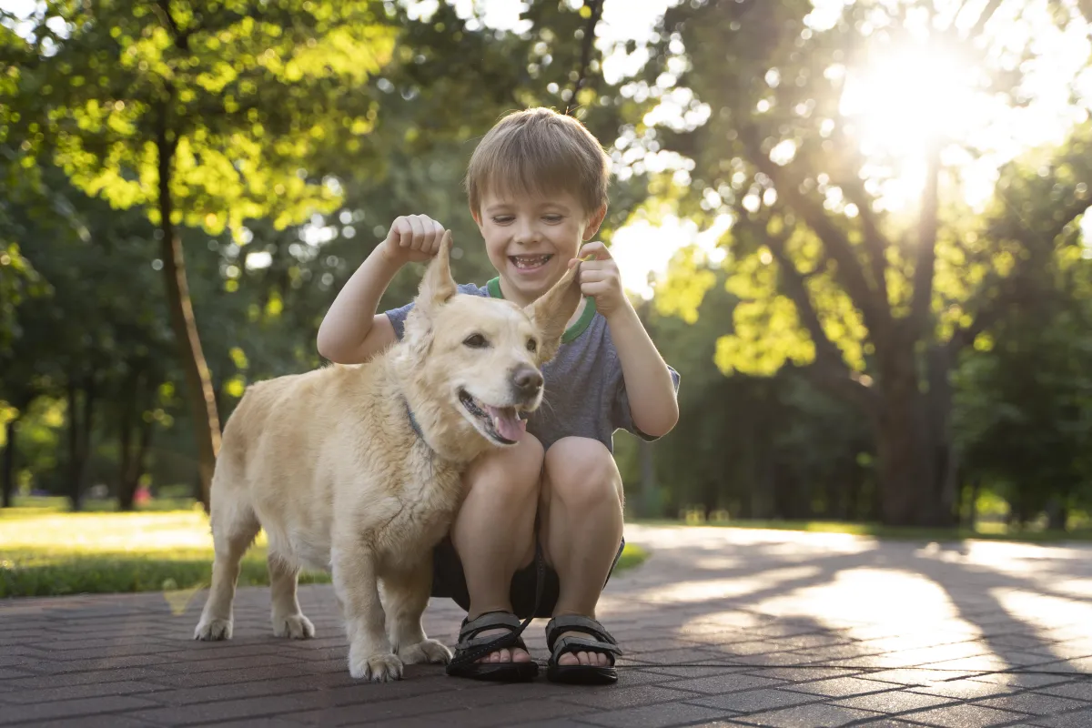 Descubra os 10 principais benefícios da interação entre crianças e animais