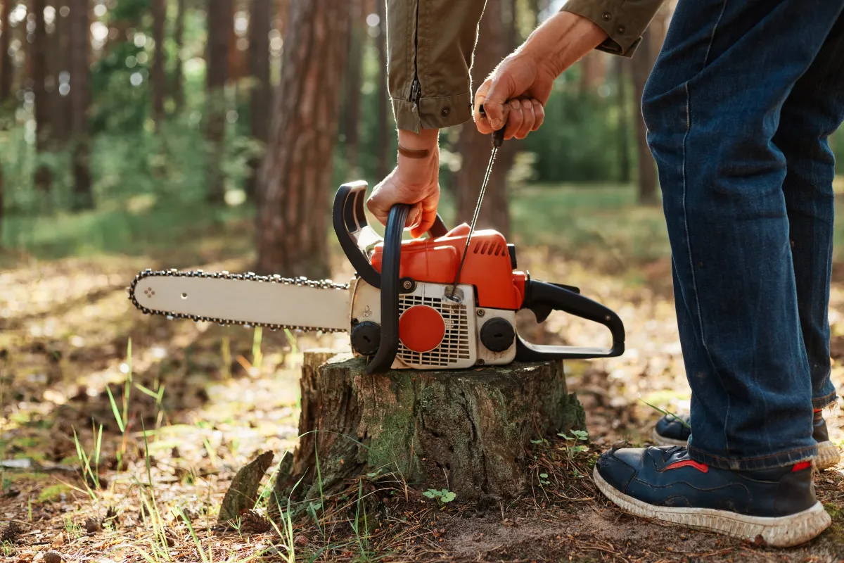 Guia com as 10 motosserras ideais para você comprar