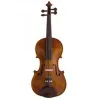 Viola