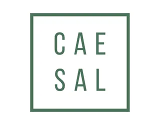 Ir ao site Caesal Casa