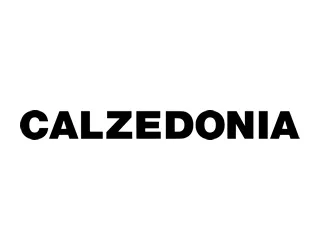 Ir ao site Calzedonia