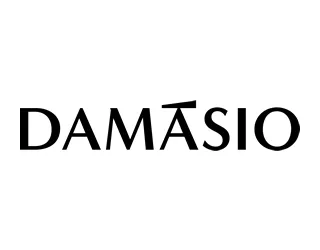 Ir ao site Damásio