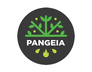 Ir ao site Pangeia