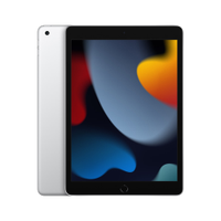 Apple iPad 10.2" 9ª Geração, A13 Bionic, Wi-Fi + Cellular, 256GB, Prateado - MK4H3BZ/A