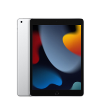 Apple iPad 10.2" 9ª Geração, A13 Bionic, Wi-Fi + Cellular, 256GB, Prateado - MK4H3BZ/A