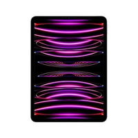 Apple iPad Pro 12,9" 6ª Geração, Wi-Fi, 256GB, Cinza Espacial - MNXR3BZ/A