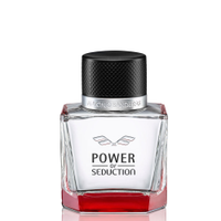 Perfume banderas power of seduction masculino eau de toilette 100ml
