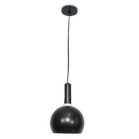 Luminária de Teto Pendente Nísia Esfera 20 Preto