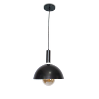 Luminária de Teto Pendente Nísia Esfera 30 Preta