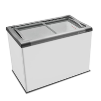 Freezer de Sorvete Horizontal NF30L Metalfrio - 110V