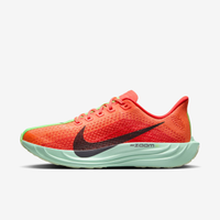 Tênis Nike Pegasus Plus Feminino