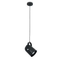 Luminária de Teto Pendente Nelle Preto