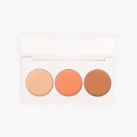 Paleta multifuncional bronzer iluminador e blush beleza cea
