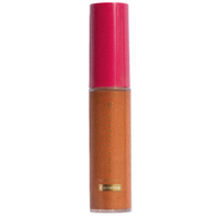 Corretivo niina secrets perfect match cor 65