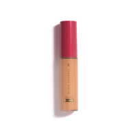 Corretivo perfect match niina secrets 10ml cor 25 única