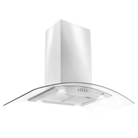 Coifa e Depurador de Ilha EOS 90cm Com Vidro Curvo ECO90IV Inox 110V - 110V