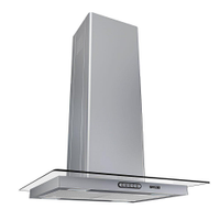 Coifa Ilha 60cm Vidro Reto Fogatti Inox - 110V