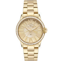 Relógio Technos Feminino St.moritz Dourado - 2035MYV/1X 2035MYV/1X
