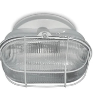 Tartaruga Branco Com Ferro E Vidro 1 Lamp - Nacional Iluminação