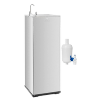 Bebedouro Coluna Pressão Aço Inox c Filtro Reserva Karina - Voltagem: 220