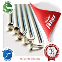Jogo de Raio Inox Bace XRE 300 Traseiro 4,0mm