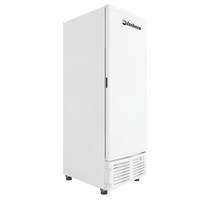 Freezer Vertical 560L Imbera Porta Cega Branca EVZ21 - 110V