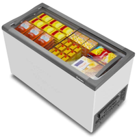 Freezer Expositor Horizontal Metalfrio 318L NF40SB 110V