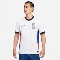 Camisa Nike Coreia II 2023/24 Torcedor Pro Masculina