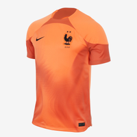 Camisa de Goleiro Nike França 2022/23 Torcedor Pro Masculina