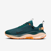 Tênis Nike Infinity Run 4 GORE-TEX Masculino