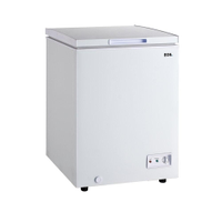 Freezer e Refrigerador Horizontal EOS 100 Litros EcoGelo EFH110X 110V - Freezer Horizontal