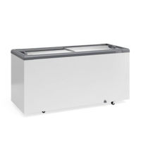 Freezer Horizontal Ghd 500H Branco 500L 2 Tampa Vidro Sem Cesto 127V - Gelopar - 110V