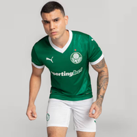 Camisa Puma Palmeiras I 2025 Jogador