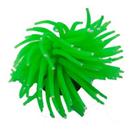 Enfeite para AquárioMaxxi Anêmona YS-1106G Verde - Único