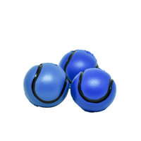 Brinquedo Kit Mini Tênis Cat LCM Azul - Único