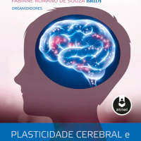 Plasticidade Cerebral e Aprendizagem
