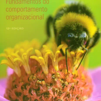 Fundamentos do Comportamento Organizacional