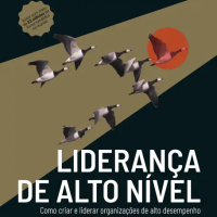Liderança de Alto Nível