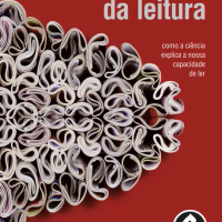 Os Neurônios da Leitura