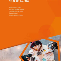 Contabilidade Societária