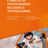 Identificação e Análise de Oportunidades Nacionais e Internacionais