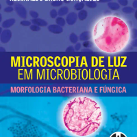 Microscopia de Luz em Microbiologia