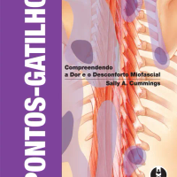 Pontos-Gatilho