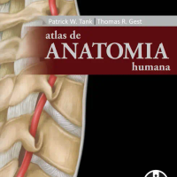 Atlas de Anatomia Humana