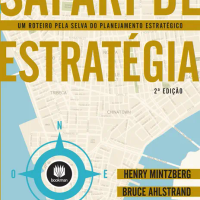 Safári de Estratégia